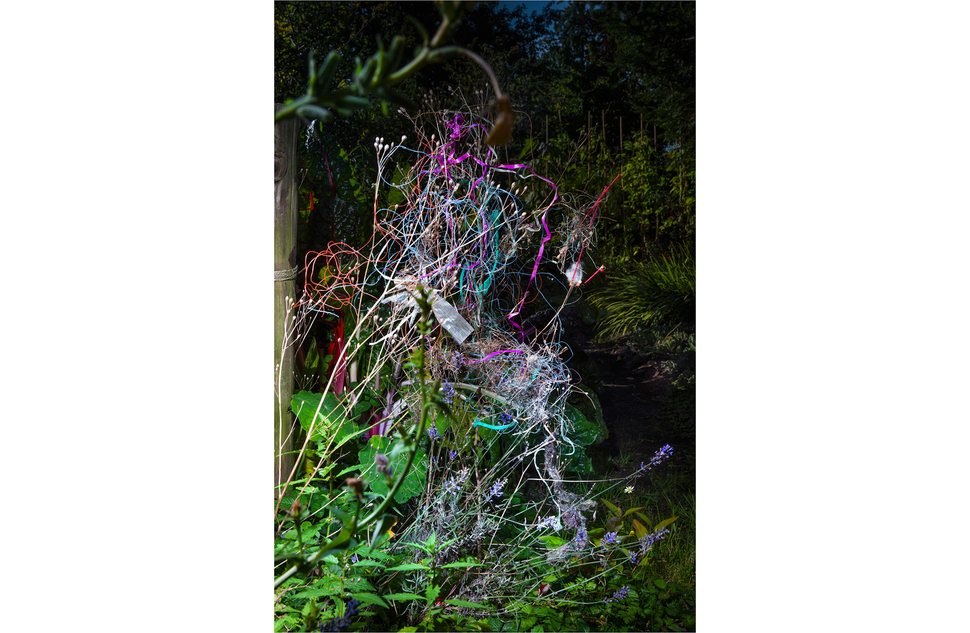 053Beach findings in my garden