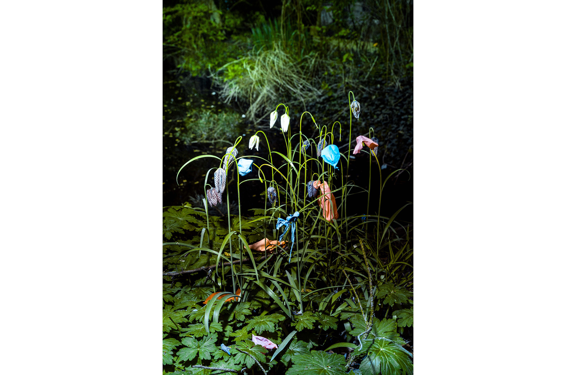 056The party is over