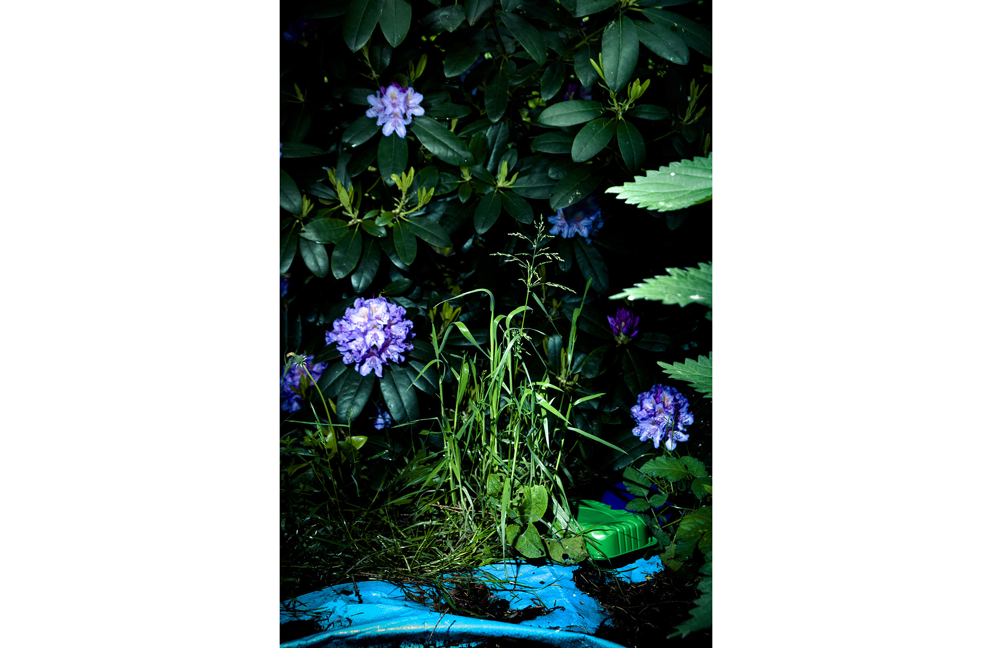 057Green container with nethels