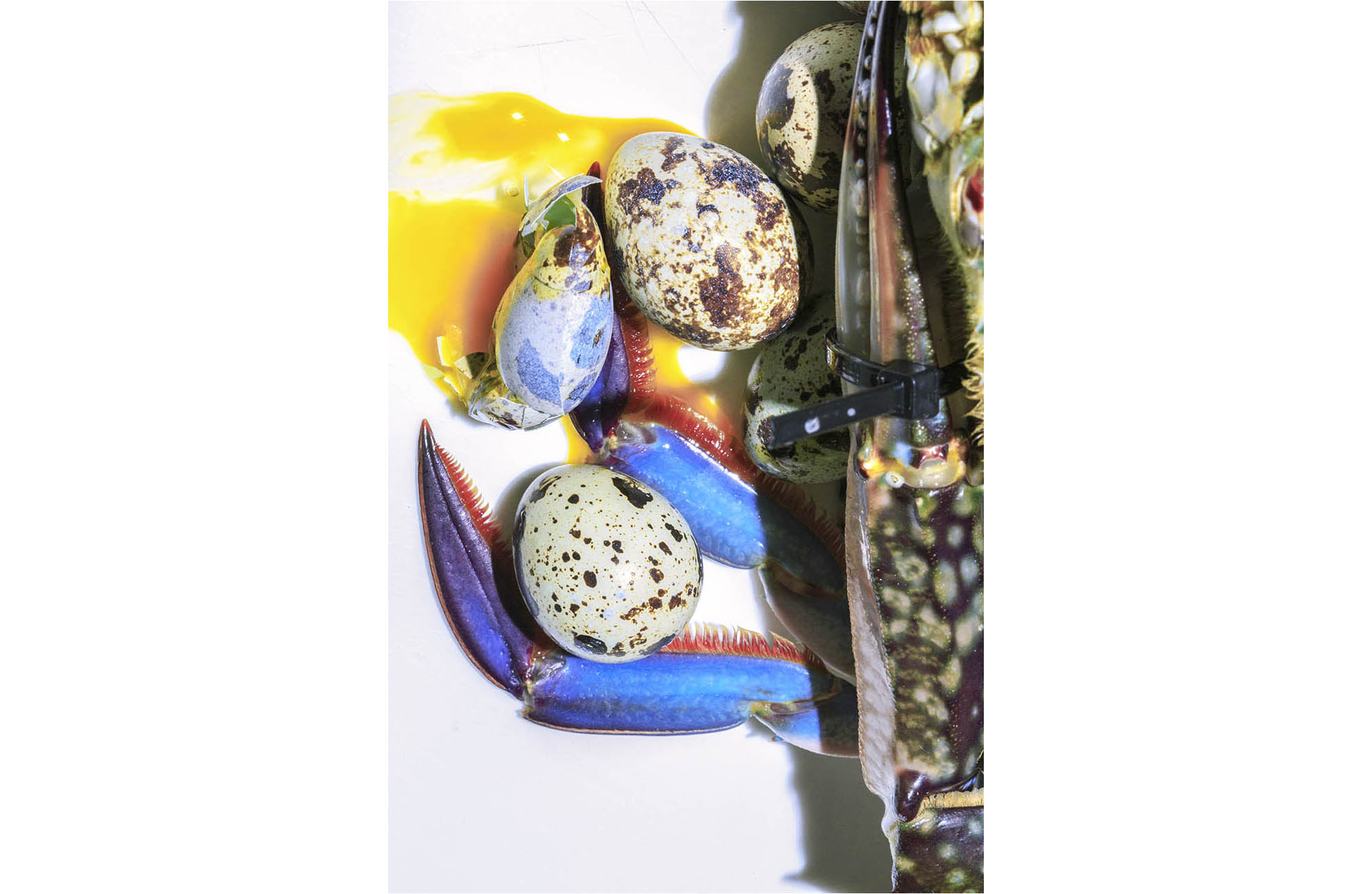 08_MakotoOono_SeparateHiddenRules