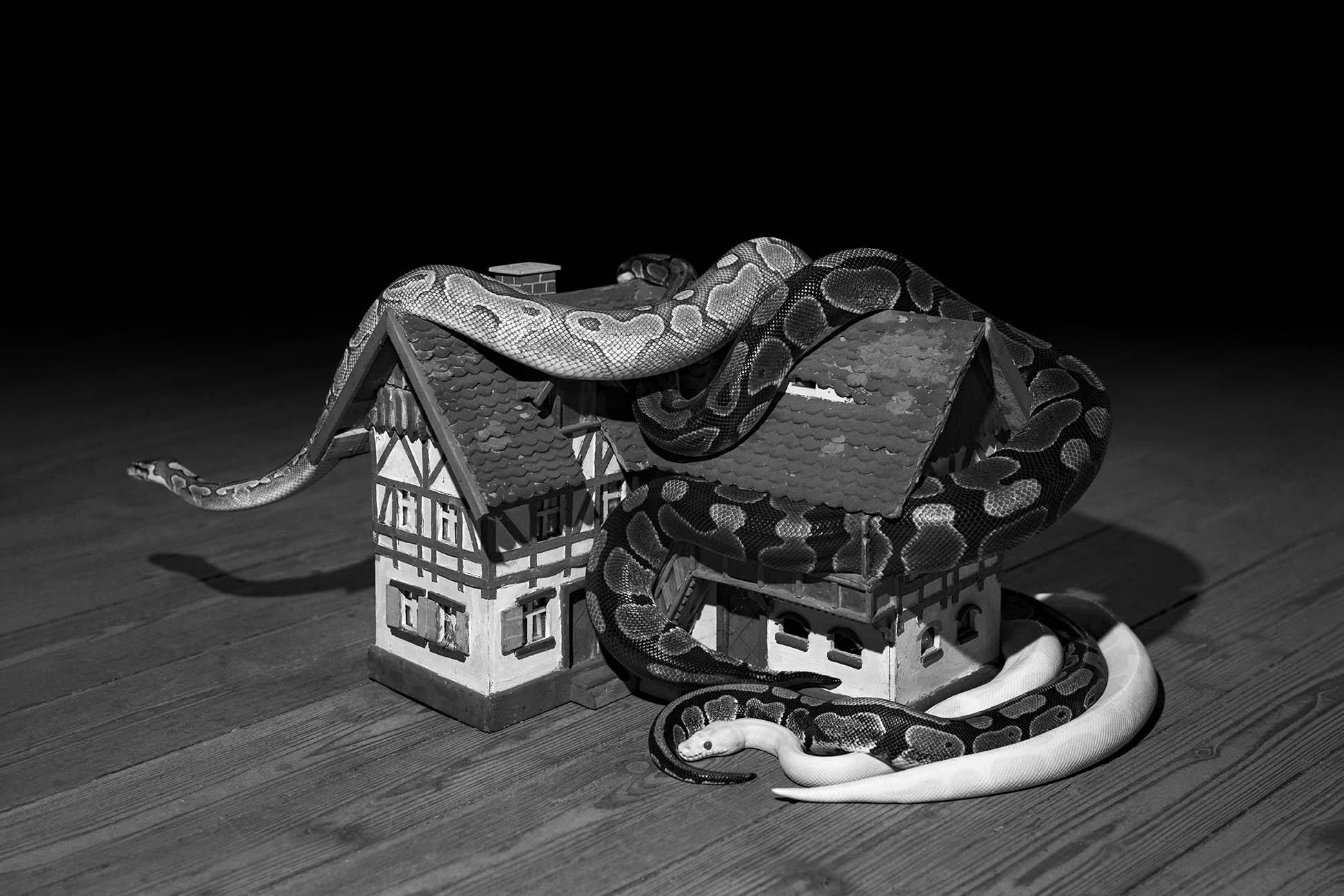 Elena Helfrecht_Plexus_The Spiral copy