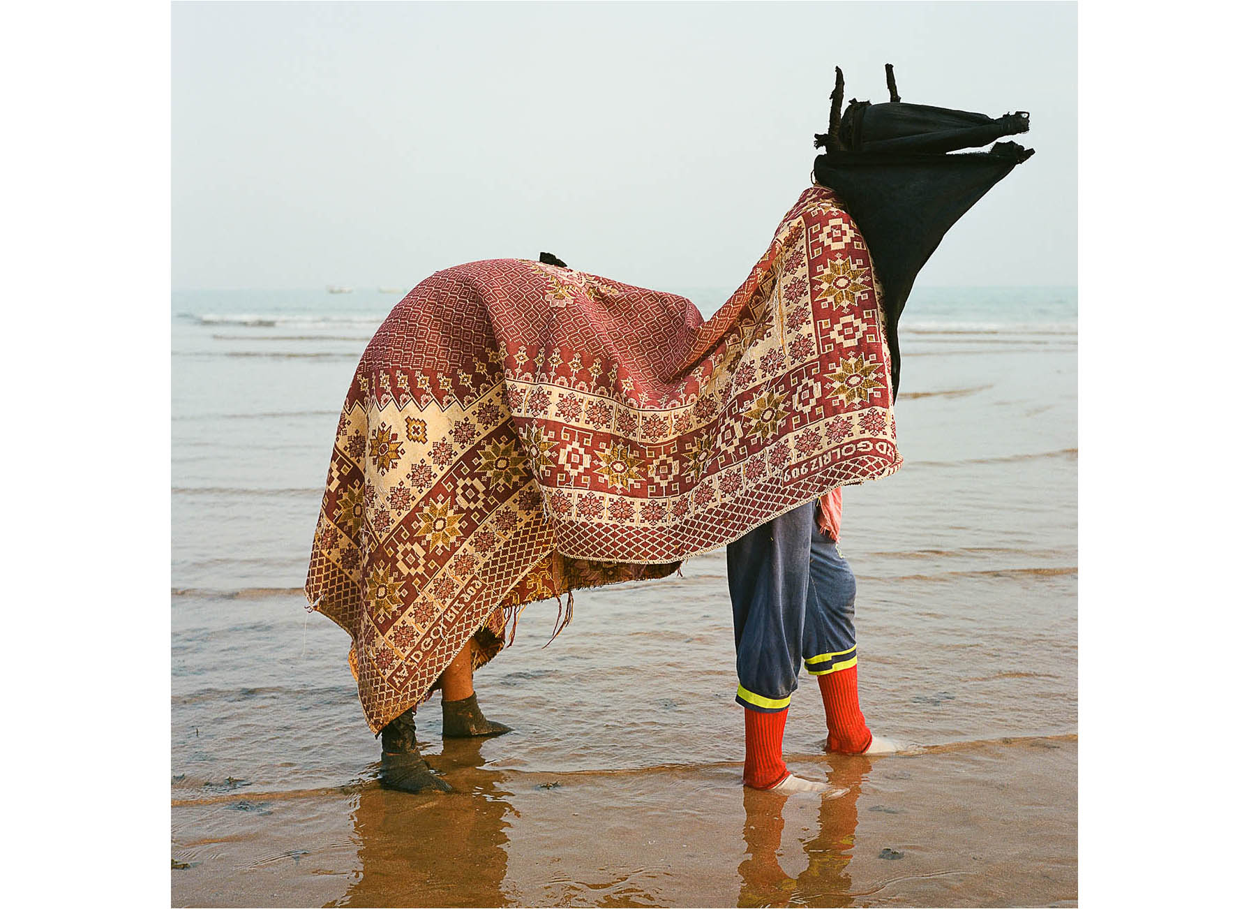 Huda_abdulmughni-Asb (horse)-03