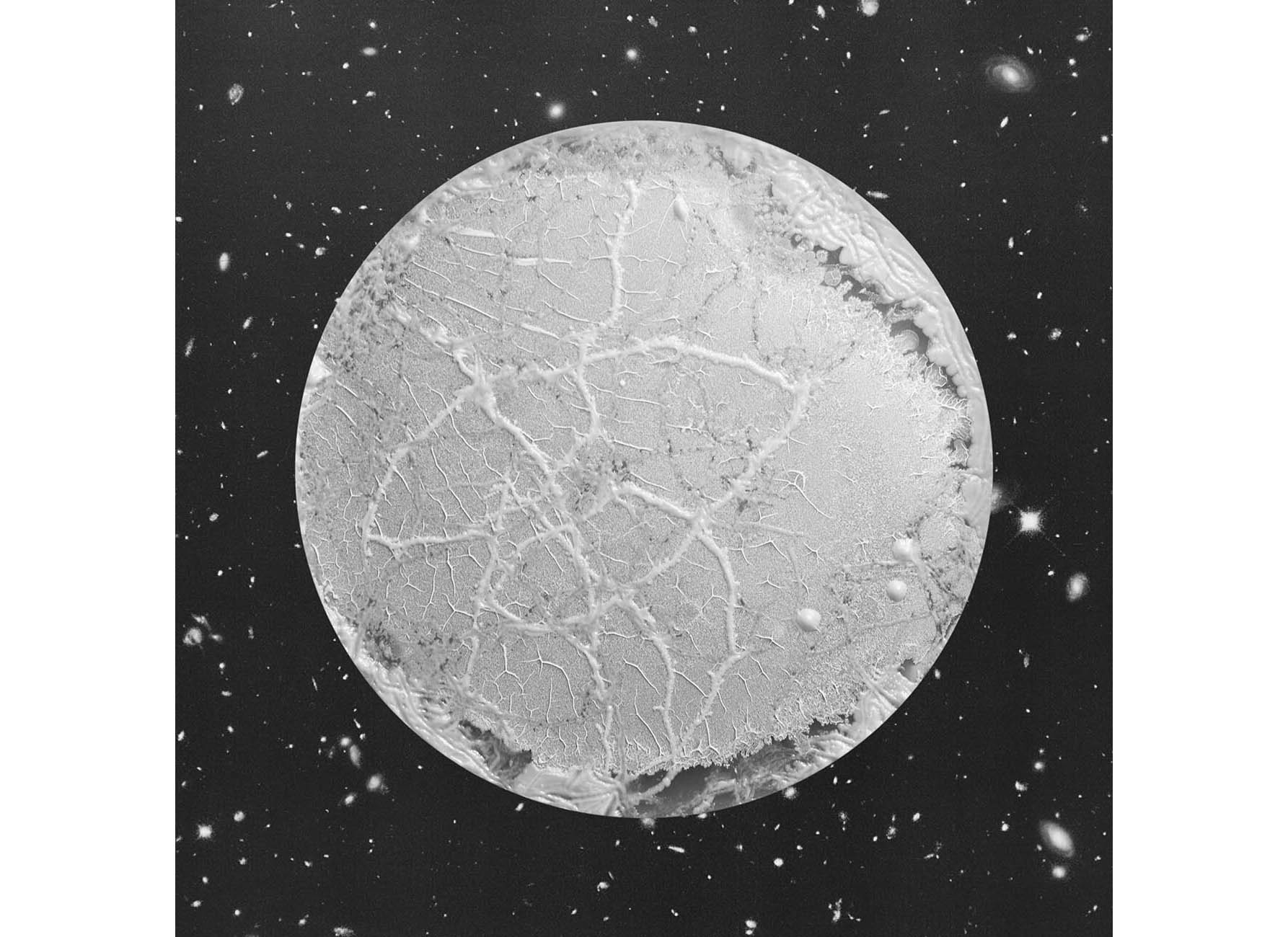 Mobile_from the series A Micro Odyssey_Marco Castelli