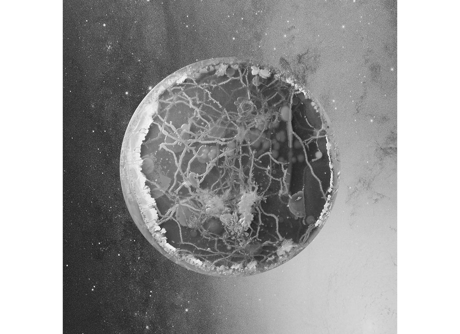 River_from the series A Micro Odyssey_Marco Castelli