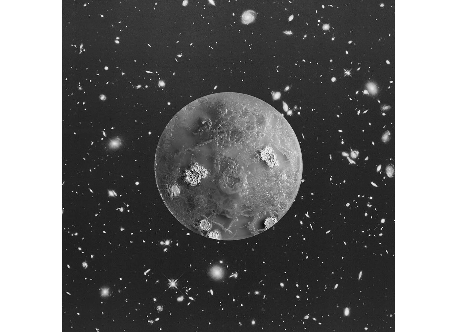 Stranger Hand_from the series A Micro Odyssey_Marco Castelli