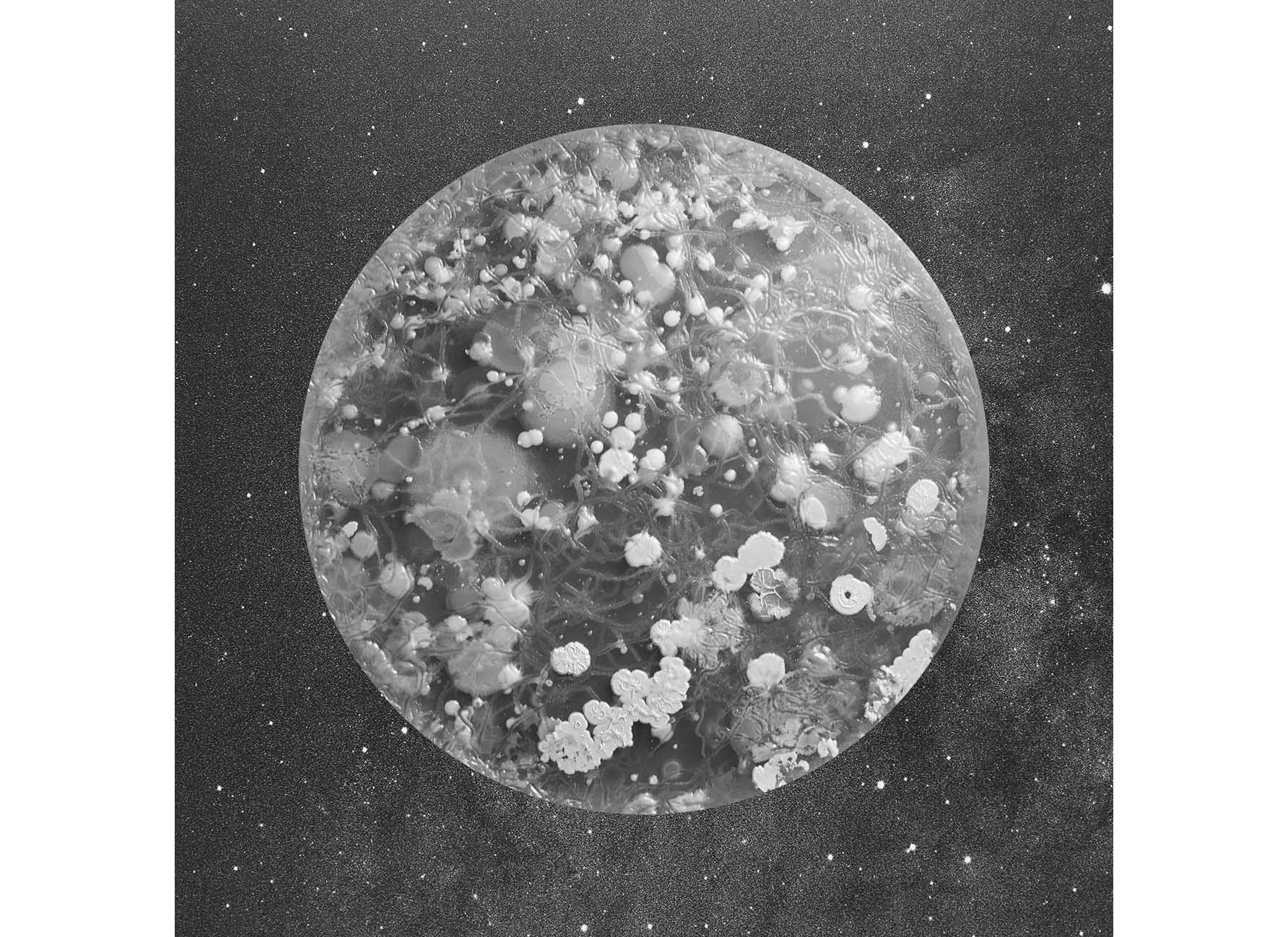 Undershoe_from the series A Micro Odyssey_Marco Castelli